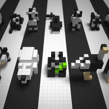 Black & White Animals