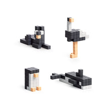 Black & White Animals