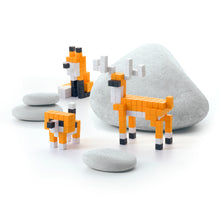 Orange Animals